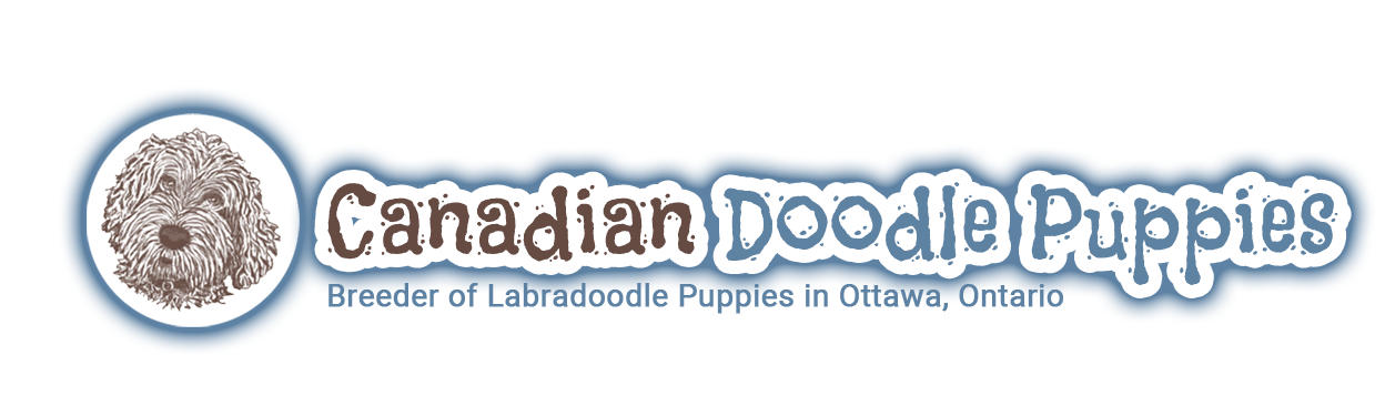 Canadian Doodle Puppies Logo