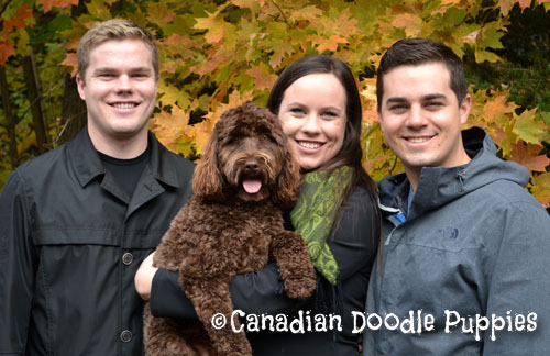 A family holding a Chocolate Labradoodle pupp