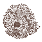 Doodle Home Page