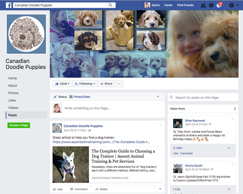 Join Our Facebook Page
