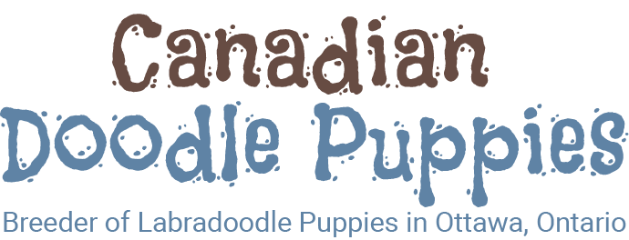 Canadian Doodle Puppies Logo