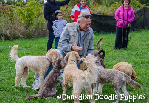 Annual Doodle Romps - Fun for all ages!