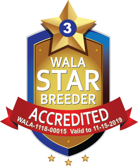 WALA Logo