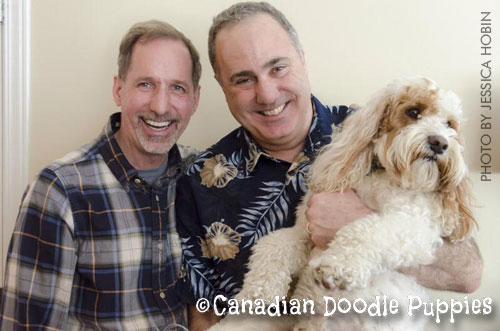 Zippity Doo Dah - One of our Doodle Dads